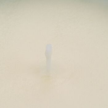 LIVMORE - Duftkerze im strukturierten Glas, 48 Std. Brenndauer, 280g, 8,4 ml &auml;therisches &Ouml;l, Amber und Pfingstrose, 48 Std. Brenndauer, Dunkelgr&uuml;n