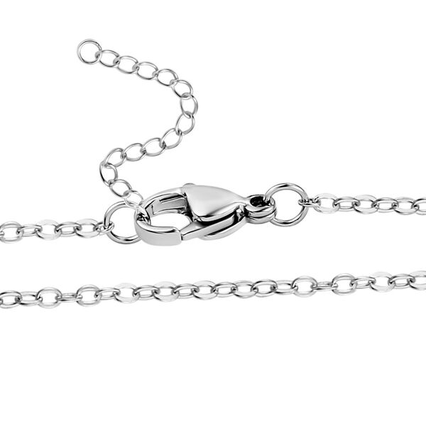 Abalone Muschel, Harz Anhänger mit Kette, Reiner Edelstahl, Silberfarben image number 5