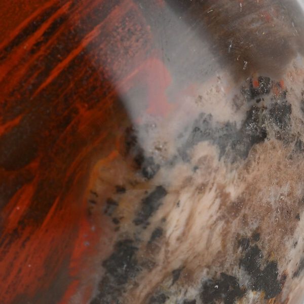 Versteinertes Holz, S - 1000 ct. image number 3