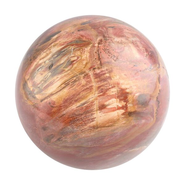 Versteinertes Holz, L - 2000 ct. image number 0