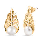 EVER TRUE Süßwasser Perle (7.5-8 mm) Ohrringe Nickelfreies Messing