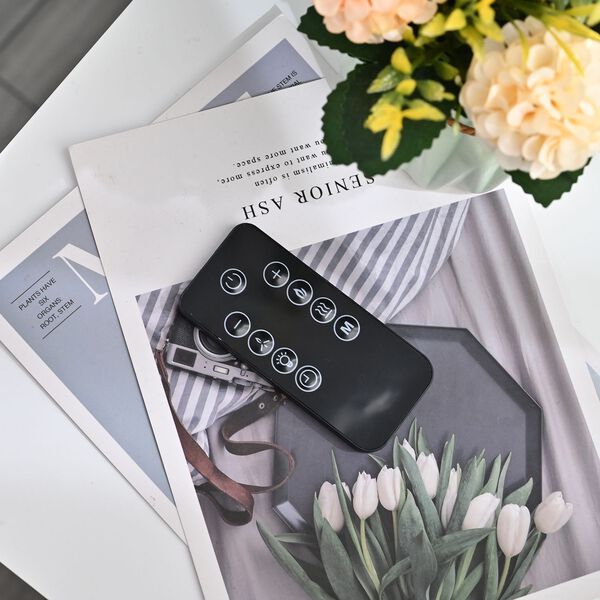 Elektrischer Kamin mit Fernbedienung image number 12