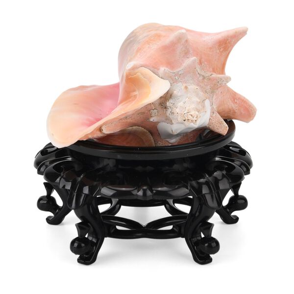 Natürliche Rosa Königsmuschel Perle mit Harzsockel Edelsteinzubehör image number 3