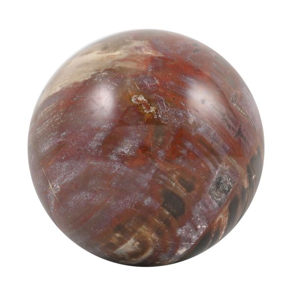 Versteinertes Holz, M - 1500 ct.