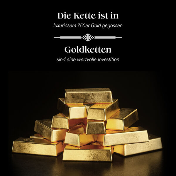 Panzerkette in 750 Gelbgold, 50cm image number 4