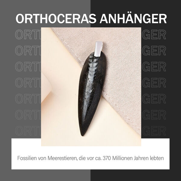 Versteinerter Orthoceras-Anhänger image number 7