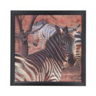Realistisches 5D Zebra-Gemälde, Größe 43,5x43,5x1,2 cm, Mehrfarbig